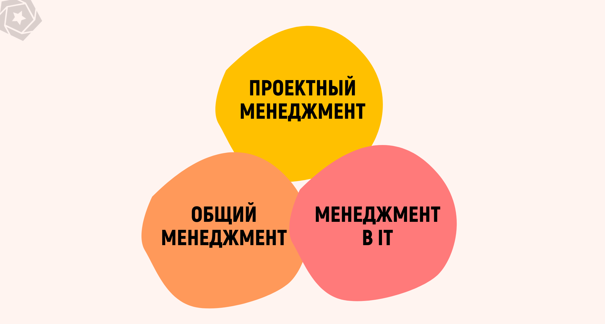 Как оценить компетенции и знания PM-а в IT | IAMPM